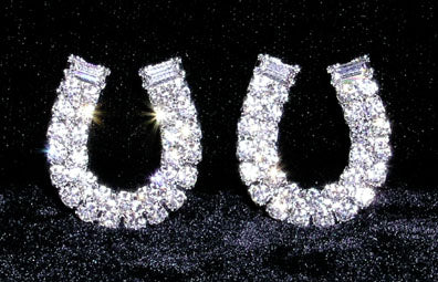 #6112 Horseshoe Earrings