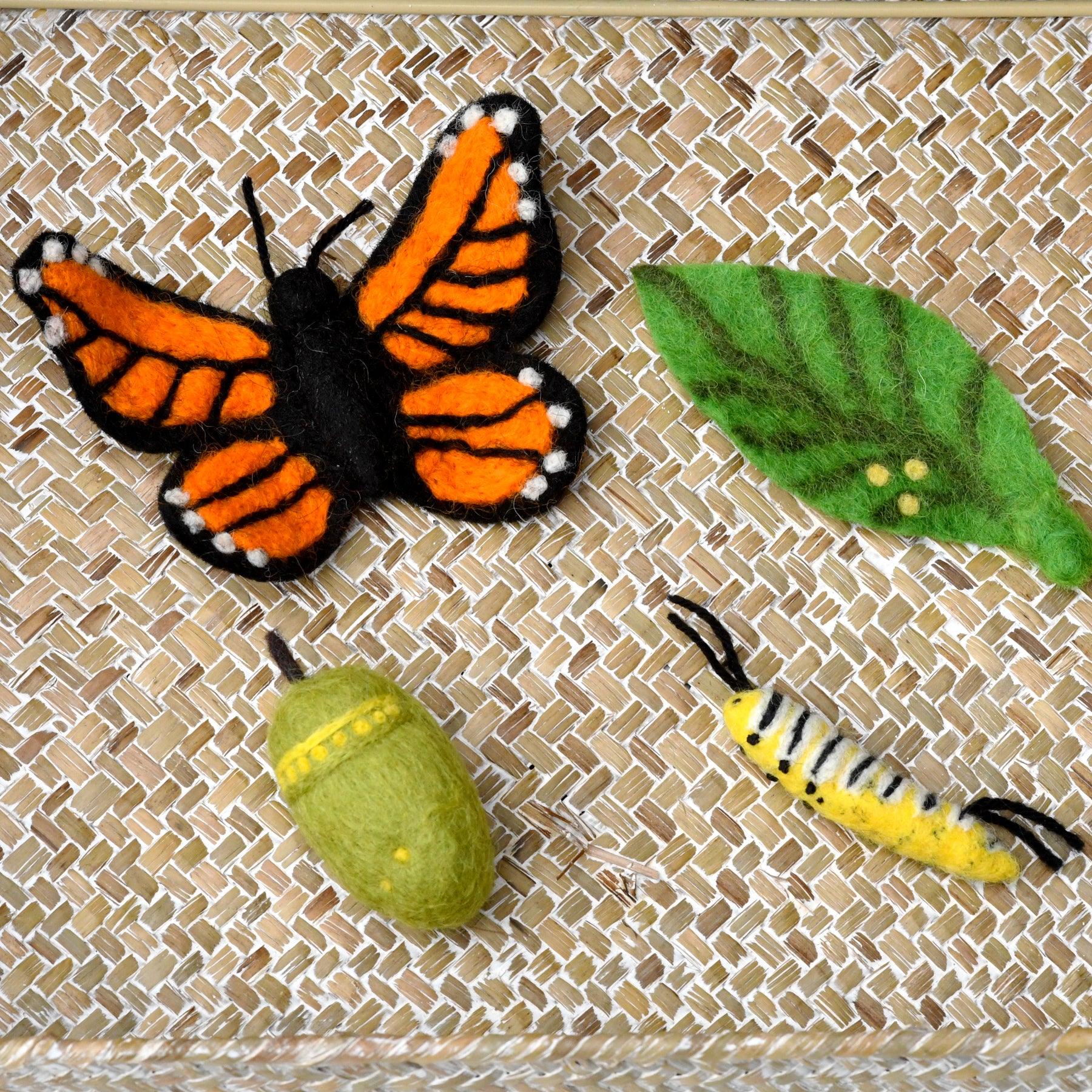 Felt Lifecycle of Monarch Butterfly - Tara Treasures