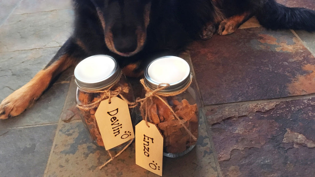 Custom Pet Treat Jar Dogs Cats Gift