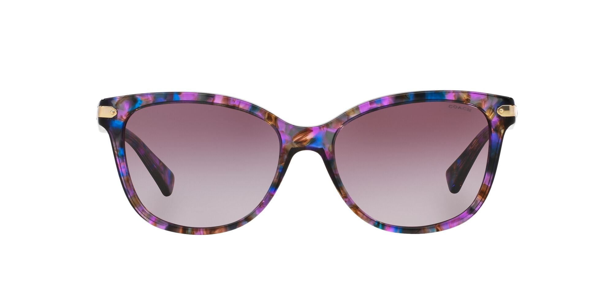 Buy Coach Women Gradient Lens Cat-Eye Sunglasses- 0HC8365U | Black Color  Women | AJIO LUXE
