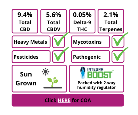 Forbidden V COA Lab Report Info