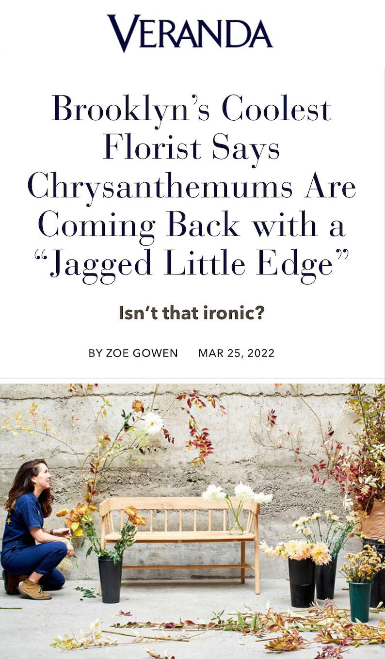 veranda magazine article 'brooklyn's coolest florist' says chrysanthemums are back