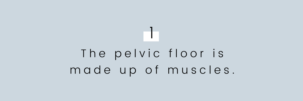 The pelvic floor is made up of muscles. 
