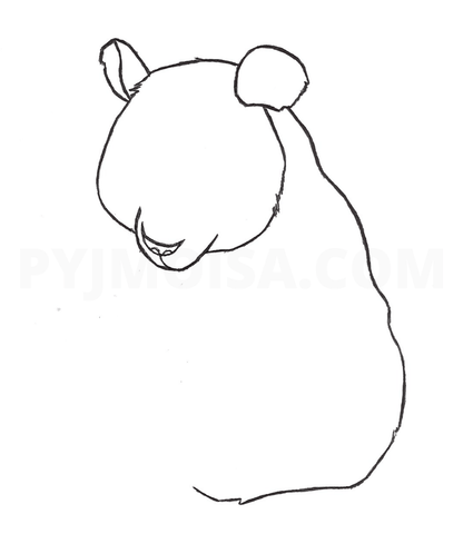 panda nez dessin