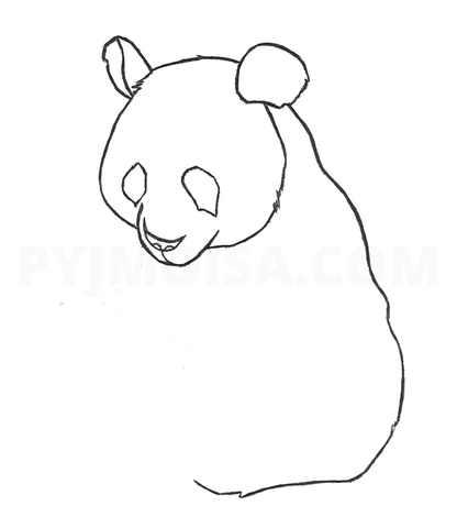 blanc des yeux panda