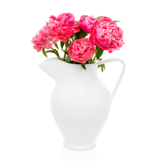 https://cdn.shopify.com/s/files/1/0257/7127/8418/products/Pitcher_Antico_XL_Flower_Product.jpg?v=1638550413&width=533