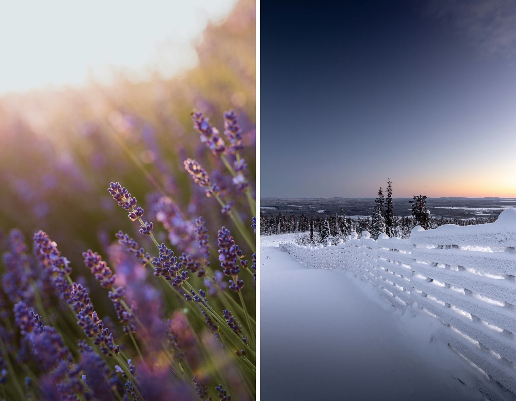 Summer and winter landscapes