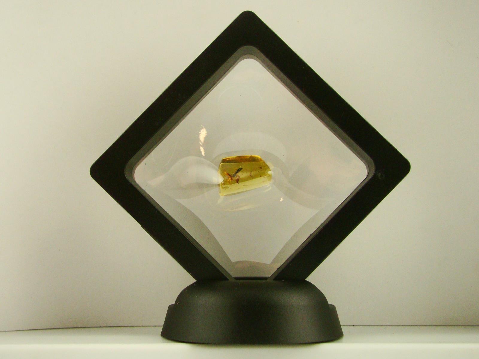 Baltic Amber Fossil with Insect Inside - Specimen in Display Case #A5