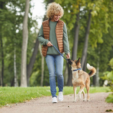 dog pulling, dog walking