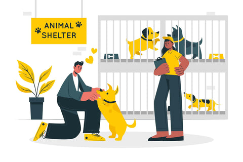 man fostering a dog, illustration of animal shelter