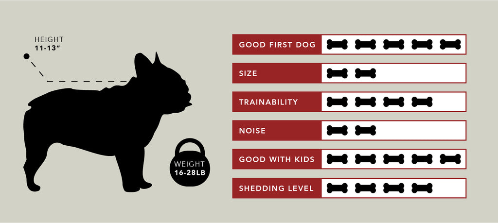 French bulldogs statistics