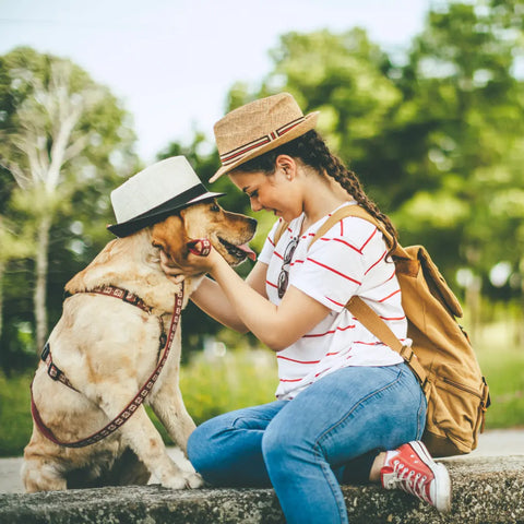 Building a Bond with your Dog