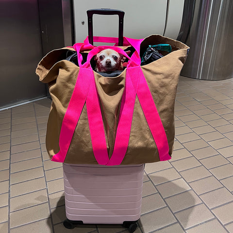 dog in bag, flying with dog, dog at airport, dog carrier, dog travel in style