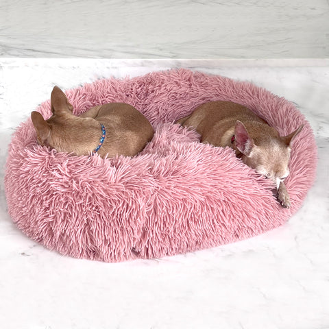 how to calm dogs, best dog bed