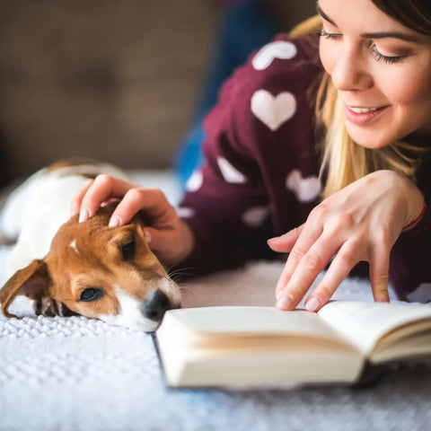 The Incredible Journey of Dog Books