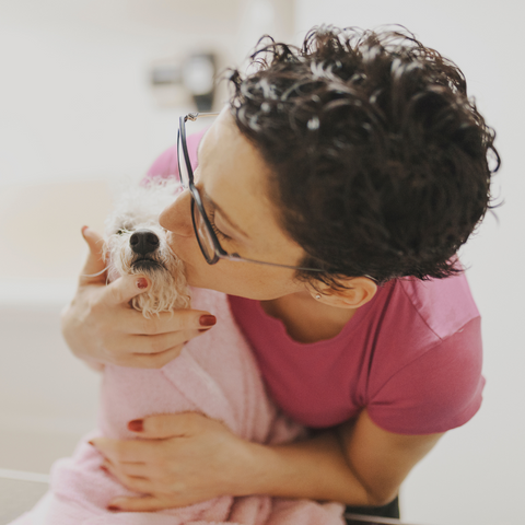 Is Dog Face Licking an Actual Health Risk