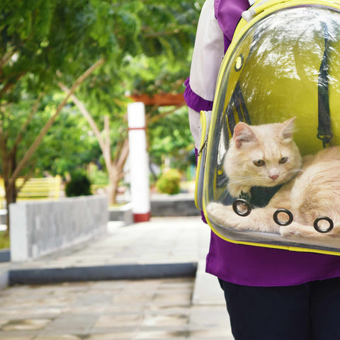 Right Cat Carriers