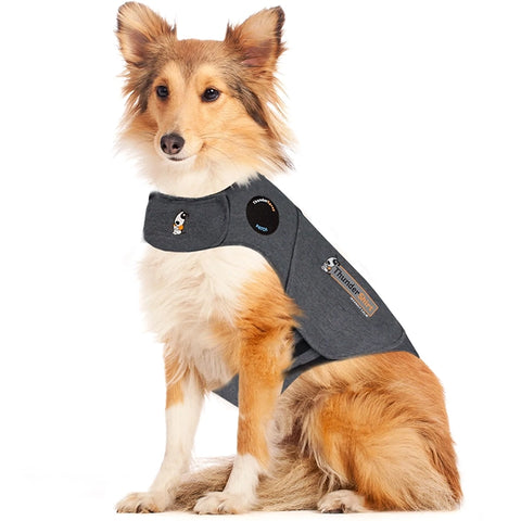thunder shirt for dogs, calming shirt for dogs, keeping dog calm during fireworks