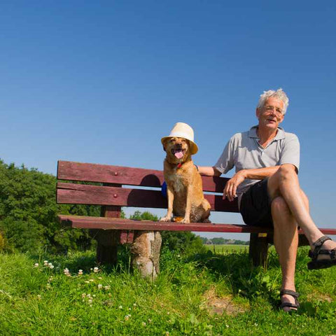 dog and elder, health benefits of dogs for seniors