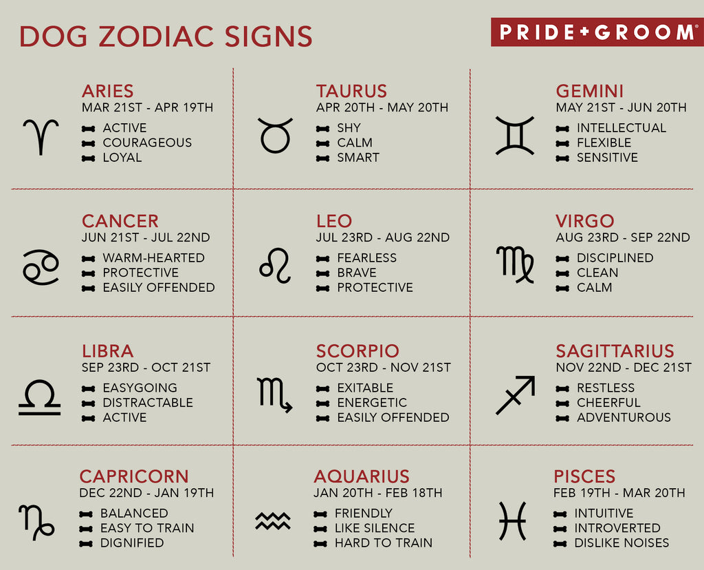 Dog Astrology: Decode Your Dog's Personality by Exploring Their Zodiac Sign