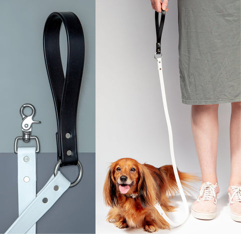 stylish gifts for dogs, DOG&CO DOG LEASH, stylish leashes for dogs