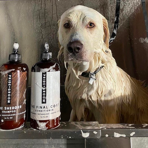 How To Select The Best Dog Conditioner? | Pride+Groom