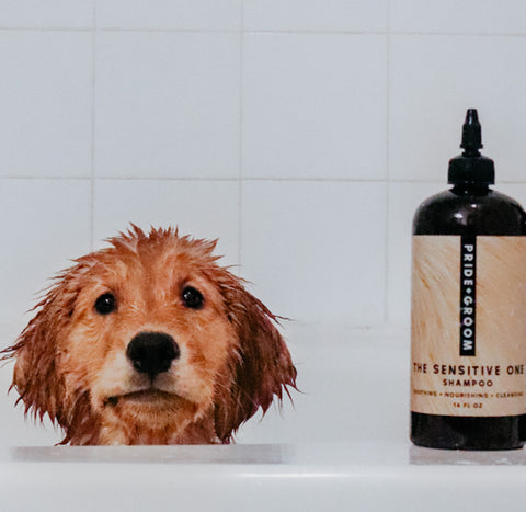 dog shampoo for sensitive skin
