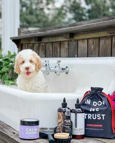 goldendoodle, fletch & lo in bath with pride+groom grooming products for doodles