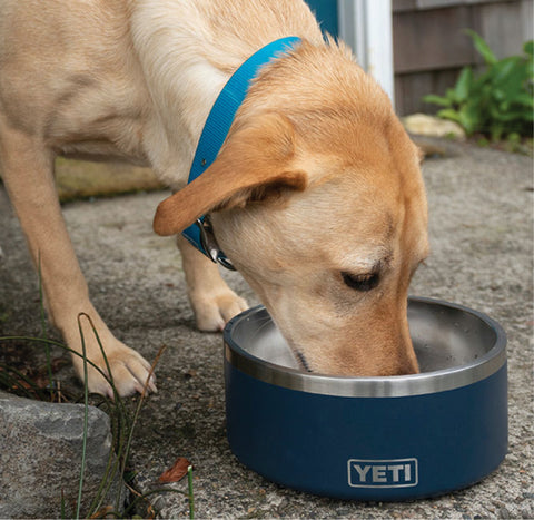 best gift ideas for furry friends, YETI BOOMER DOG BOWL