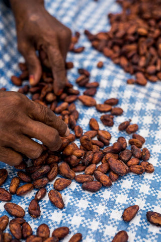 chocolate making process