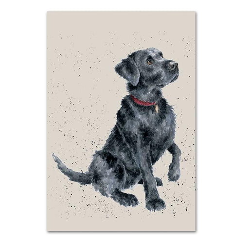 Black Labrador Note Card by Wrendale