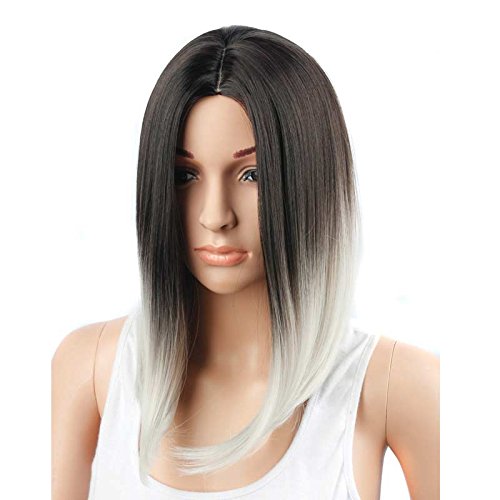 silver ombre wig