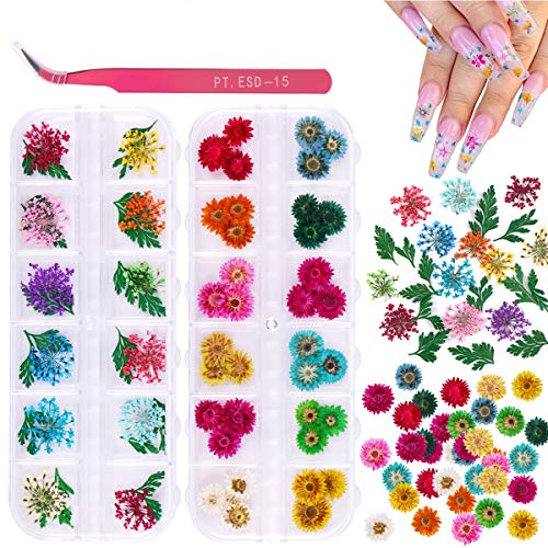 2 Boxes Dried Flowers For Nail Art Kissbuty 24 Colors Dry Flowers Min Ninthavenue Europe