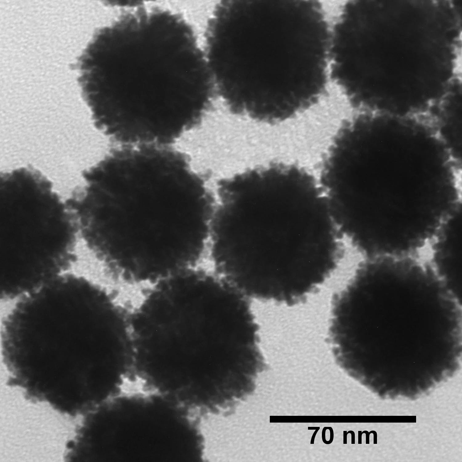 Transmission Electron Microscope (TEM) image of 70 nm platinum nanoparticles produced by nanoComposix