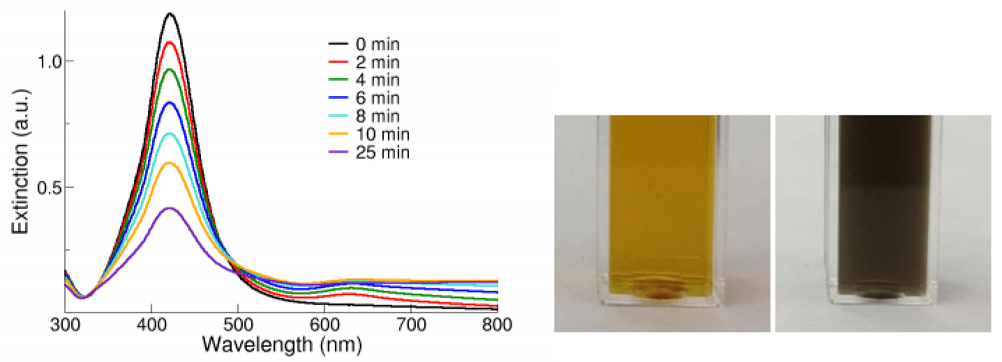 Extinction spectrum of 50 nm NanoXact silver nanoparticles undergoing aggregation.