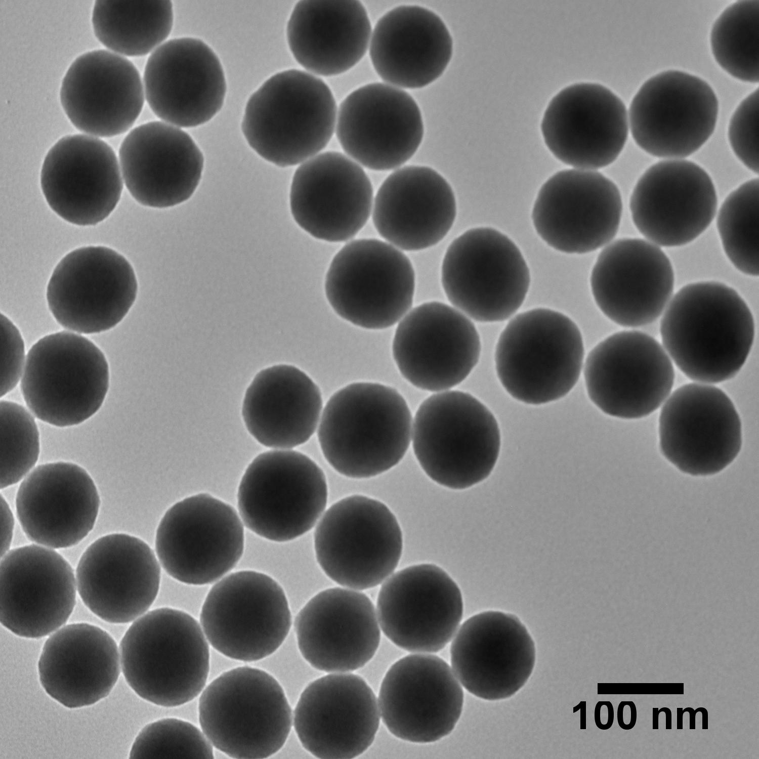TEM image of 100 nm NanoXact silica  nanospheres.