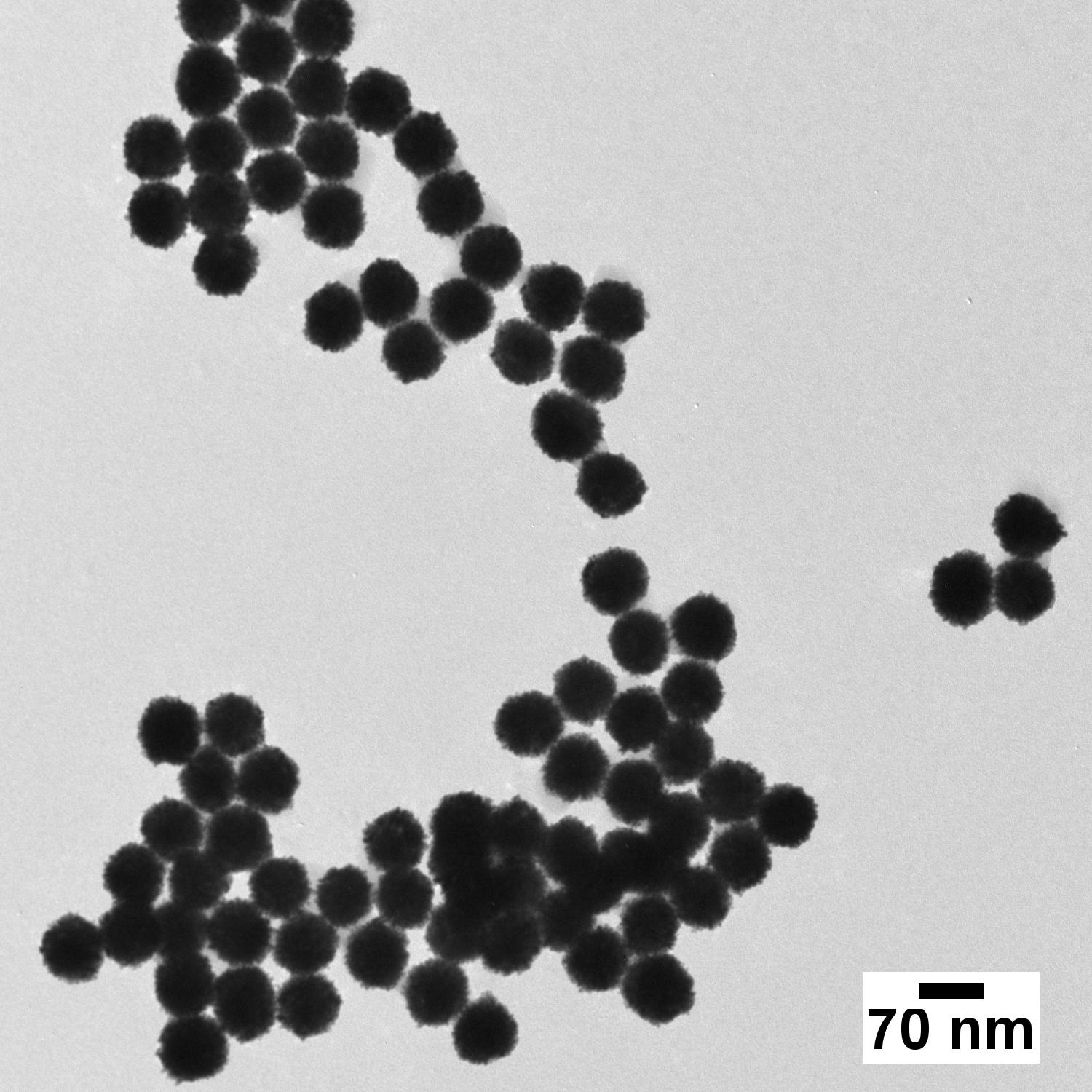 Transmission Electron Microscope (TEM) image of 70 nm platinum nanoparticles produced by nanoComposix