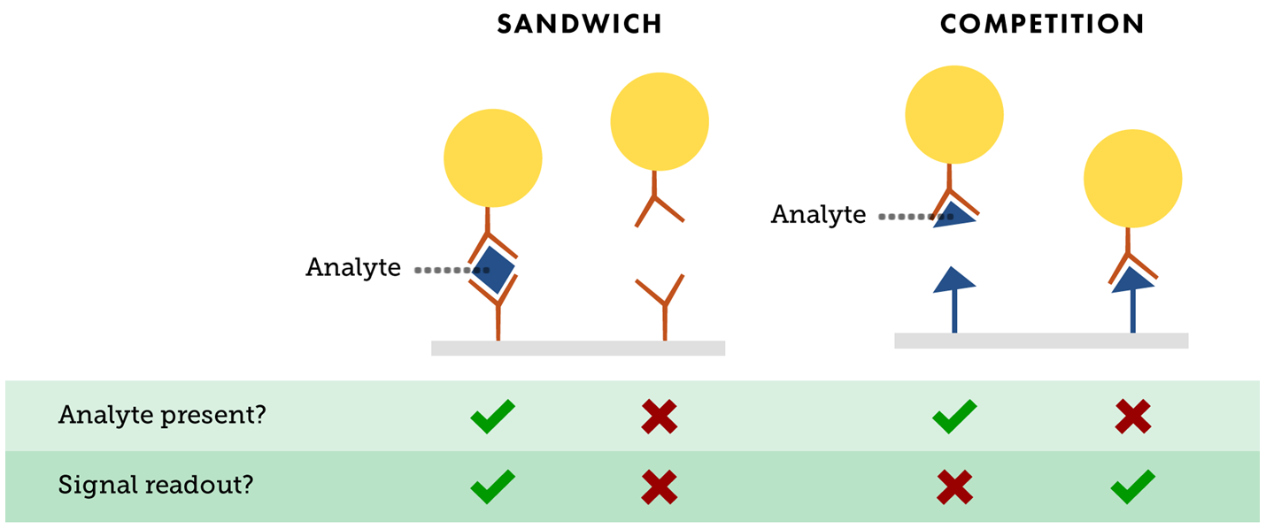 Introduction To Lateral Flow Rapid Test Diagnostics Nanocomposix Eu