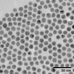 TEM image of 7 nm BioPure gold nanospheres.