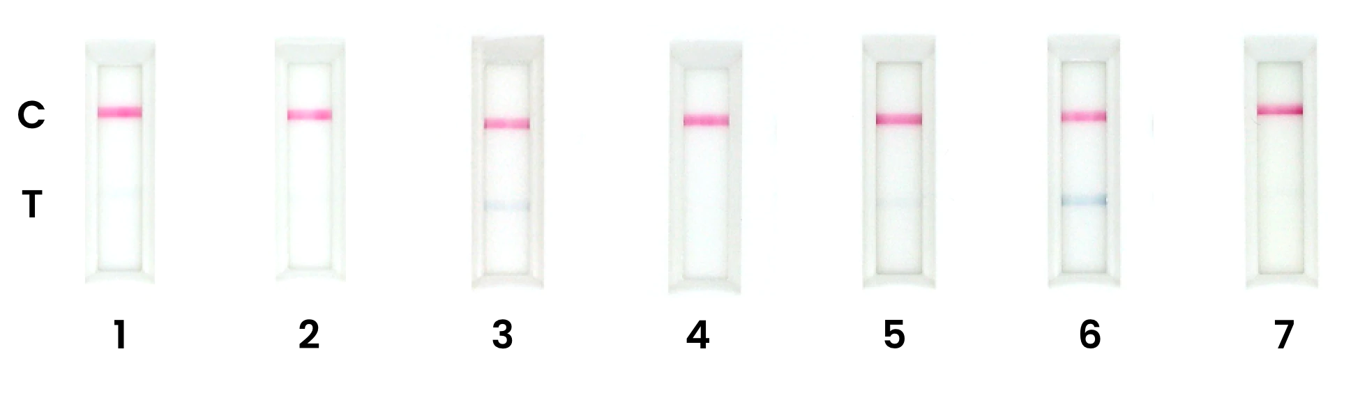 lateral flow test results from commercially available COVID antigen test
