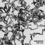 TEM image of gold nanorods fabricated at nanoComposix.