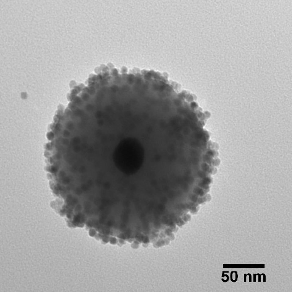 Silica Surface – nanoComposix