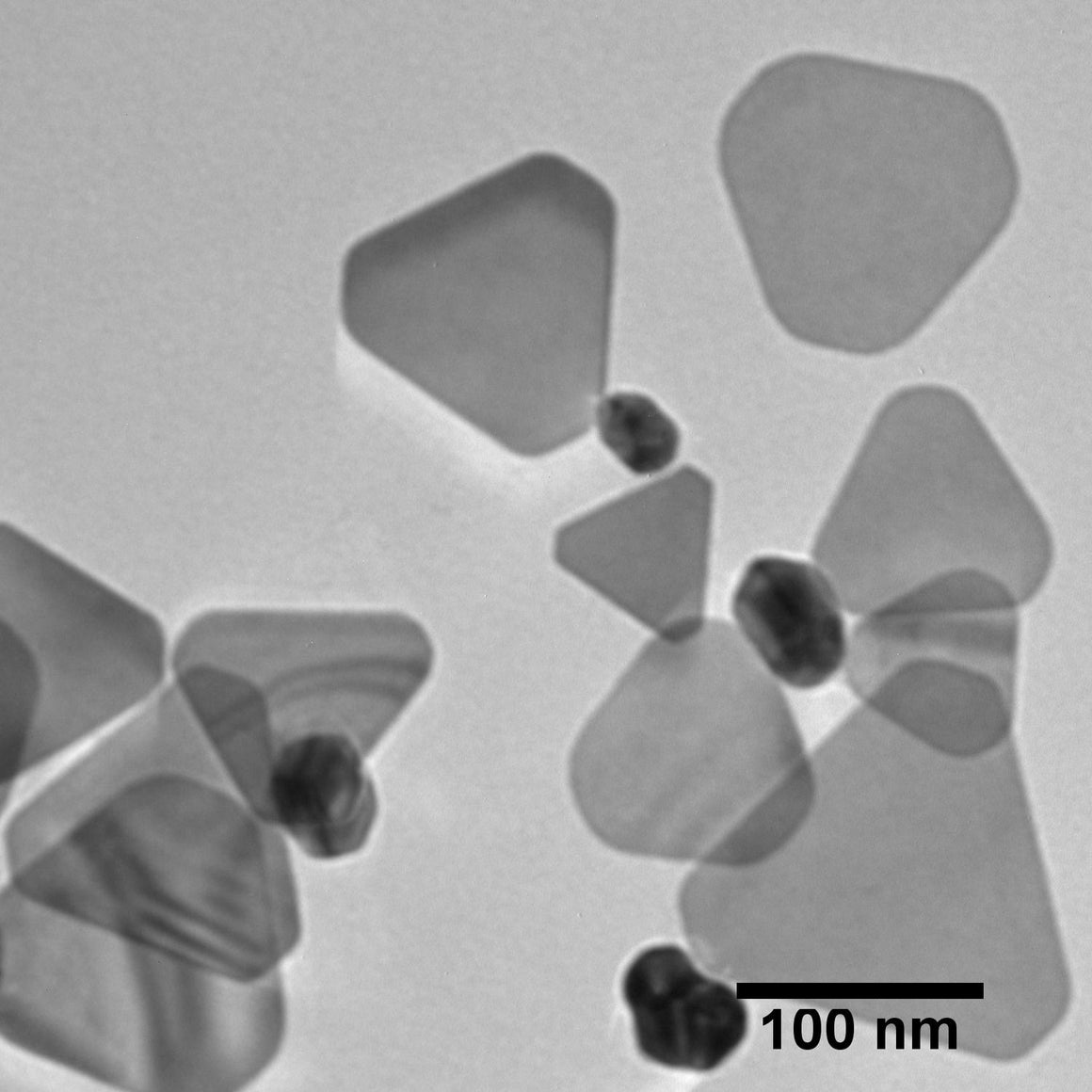 NanoXact Silver Nanoplates – PVP