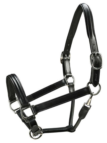 Triple Stitched Padded Leather Horse Halter