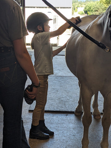 Grooming your horse