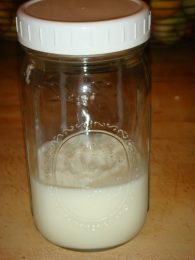 kefir milk home brewed
