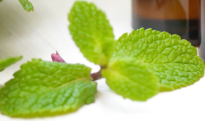 heal chapped and dry lips due to mint allergic chelitis