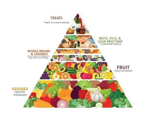 Food Pyramid Dr. Bailey Healthy Skin