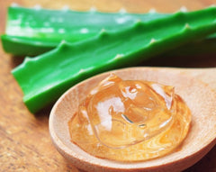 benefits of aloe vera in skin care