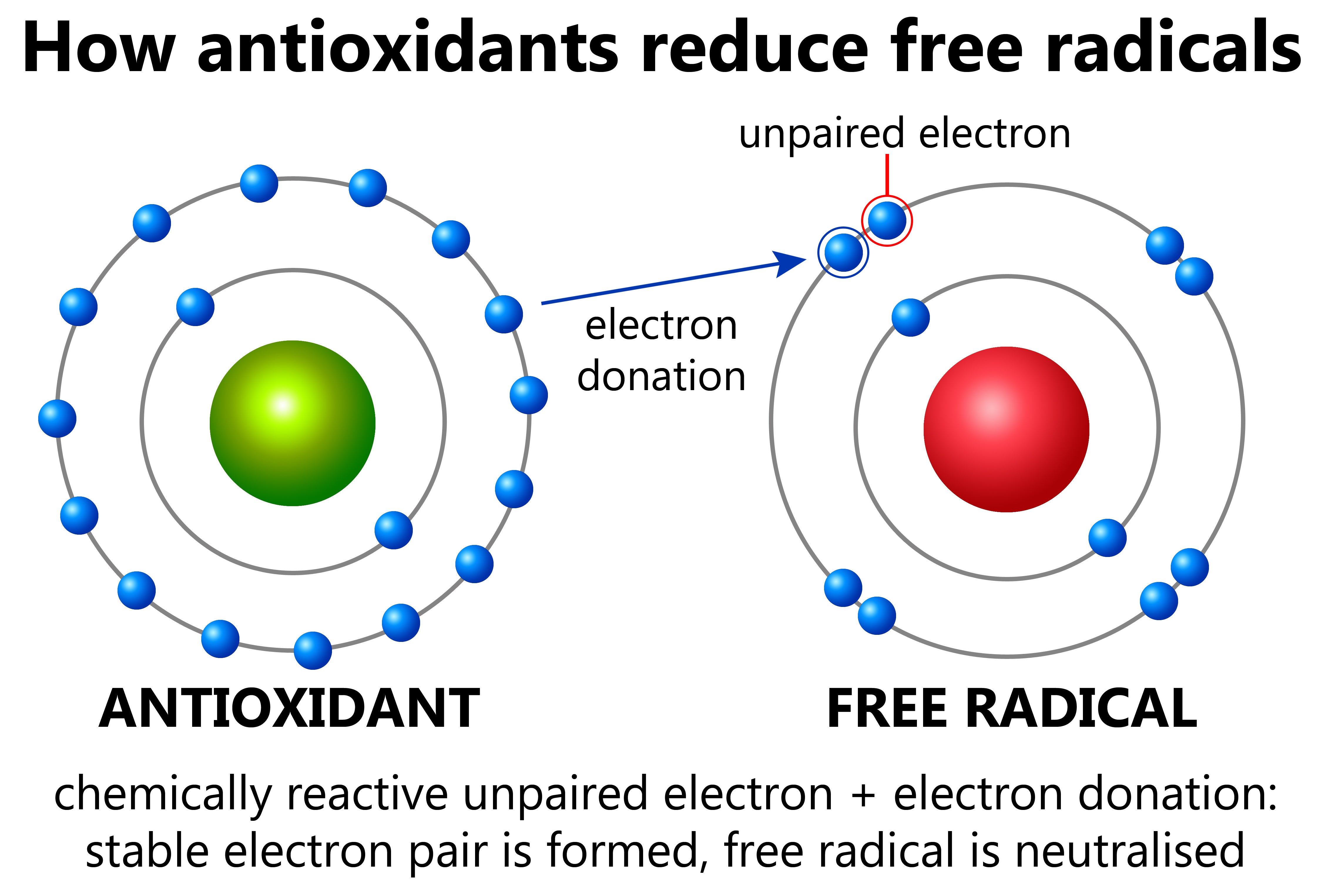 how antioxidants protect skin from damage